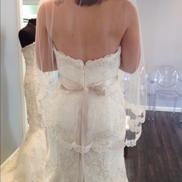 Watters Fabiene stunning Wedding Dress - Picture 2 of 4